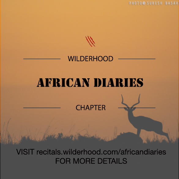 African Diaries is the journey of African Wildlife encounters by Suresh Basavaraju with Wilderhood Recitals on every Saturdays!